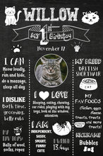 Load image into Gallery viewer, Snow Fair - Cat Birthday Customized Chalkboard / Milestone Board for Kids Birthday Party - Made of MDF Wooden Board