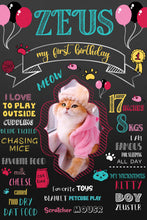 Load image into Gallery viewer, Snow Fair - Cat Birthday Customized Chalkboard / Milestone Board for Kids Birthday Party - Made of MDF Wooden Board