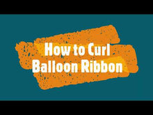 Load and play video in Gallery viewer, Snow Fair - Black and Silver theme Birthday kit for Adult and Kids Birthday Party