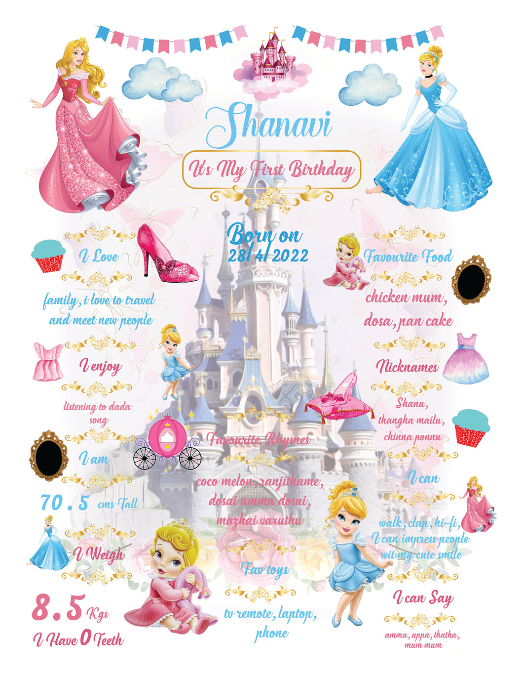 Snow Fair - Disney Princess Theme Customized Chalkboard / Milestone Board for Kids Birthday Party - Made of MDF Wooden Board