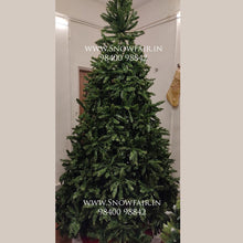 Load image into Gallery viewer, Buy 12ft Evergreen Traditional Spruce Artificial Christmas Trees Online in India

