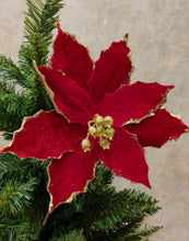 Load image into Gallery viewer, Premium Evergreen Traditional Spruce Christmas Tree - 5 Feet Combo - With Lights and Decor
