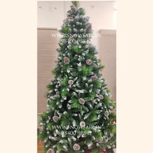 Load image into Gallery viewer, 7 ft Virginia Pine Christmas Tree
