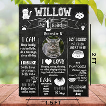 Load image into Gallery viewer, Snow Fair - Cat Birthday Customized Chalkboard / Milestone Board for Kids Birthday Party - Made of MDF Wooden Board
