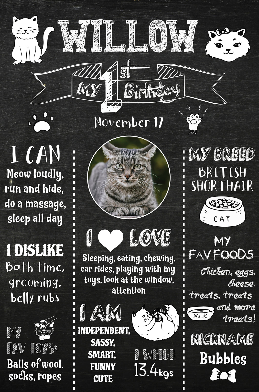 Snow Fair - Cat Birthday Customized Chalkboard / Milestone Board for Kids Birthday Party - Made of MDF Wooden Board