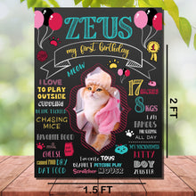 Load image into Gallery viewer, Snow Fair - Cat Birthday Customized Chalkboard / Milestone Board for Kids Birthday Party - Made of MDF Wooden Board
