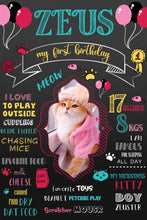 Load image into Gallery viewer, Snow Fair - Cat Birthday Customized Chalkboard / Milestone Board for Kids Birthday Party - Made of MDF Wooden Board
